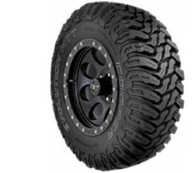 Cooper Evolution MTT POR OWL
